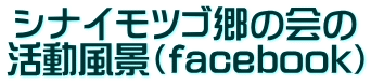 シナイモツゴ郷の会の 活動風景（facebook）
